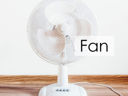 Fans